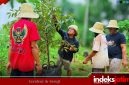 Durianisasi Masalembu, Darul Fath Pimpin Gerakan Penanaman Berbasis Ekologi (Foto: Istimewa)