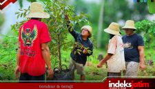 Durianisasi Masalembu, Darul Fath Pimpin Gerakan Penanaman Berbasis Ekologi (Foto: Istimewa)