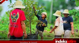 Durianisasi Masalembu, Darul Fath Pimpin Gerakan Penanaman Berbasis Ekologi (Foto: Istimewa)