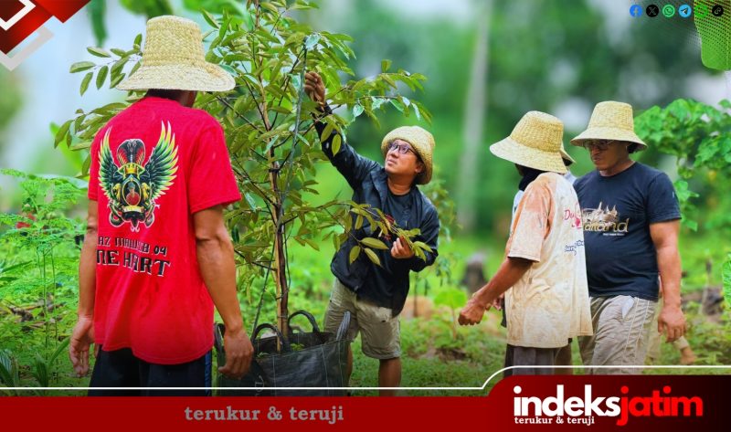 Durianisasi Masalembu, Darul Fath Pimpin Gerakan Penanaman Berbasis Ekologi (Foto: Istimewa)