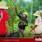 Durianisasi Masalembu, Darul Fath Pimpin Gerakan Penanaman Berbasis Ekologi (Foto: Istimewa)